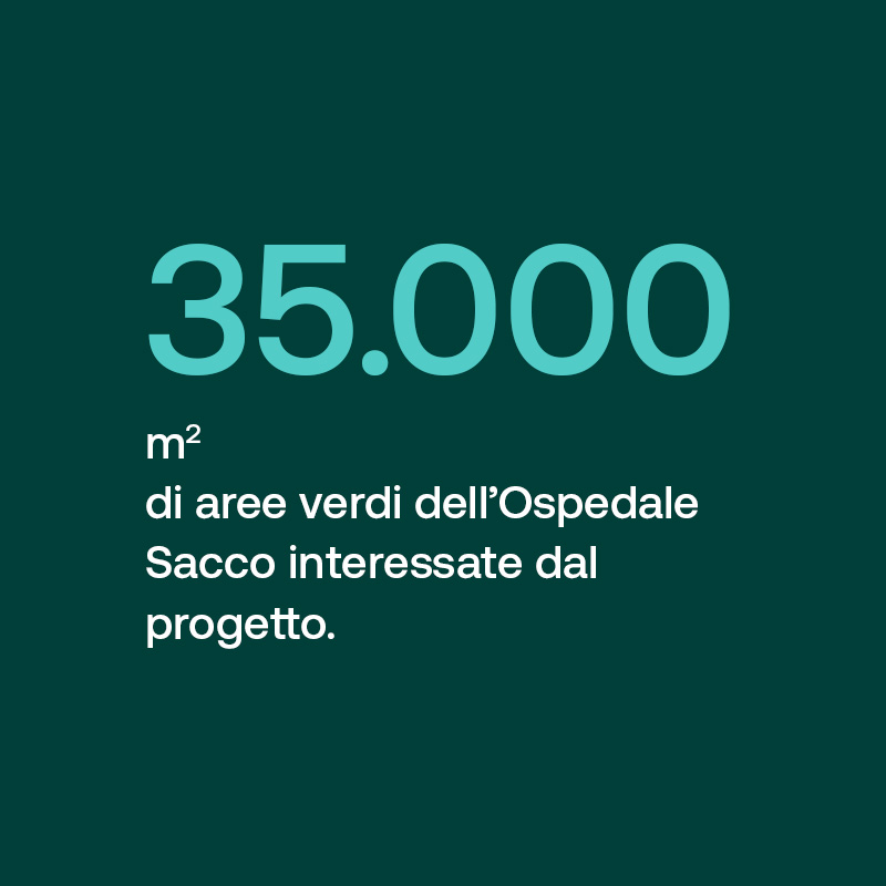 35.000 mq di aree verdi dell’Ospedale Sacco interessate dal progetto.